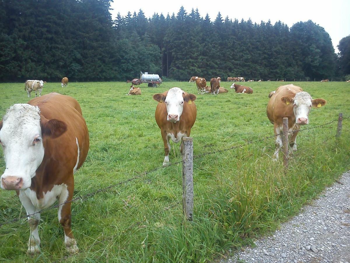 Ferienwohnung auf dem Lechsberg Fuchstal Exterior foto